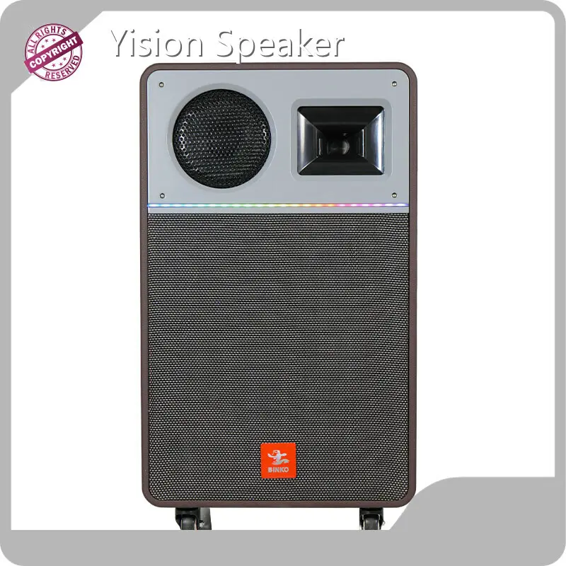Top Professional Speakers BiNKO - for Bar - Binko 1