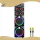Home Speaker BiNKO - for Concert - Binko 1