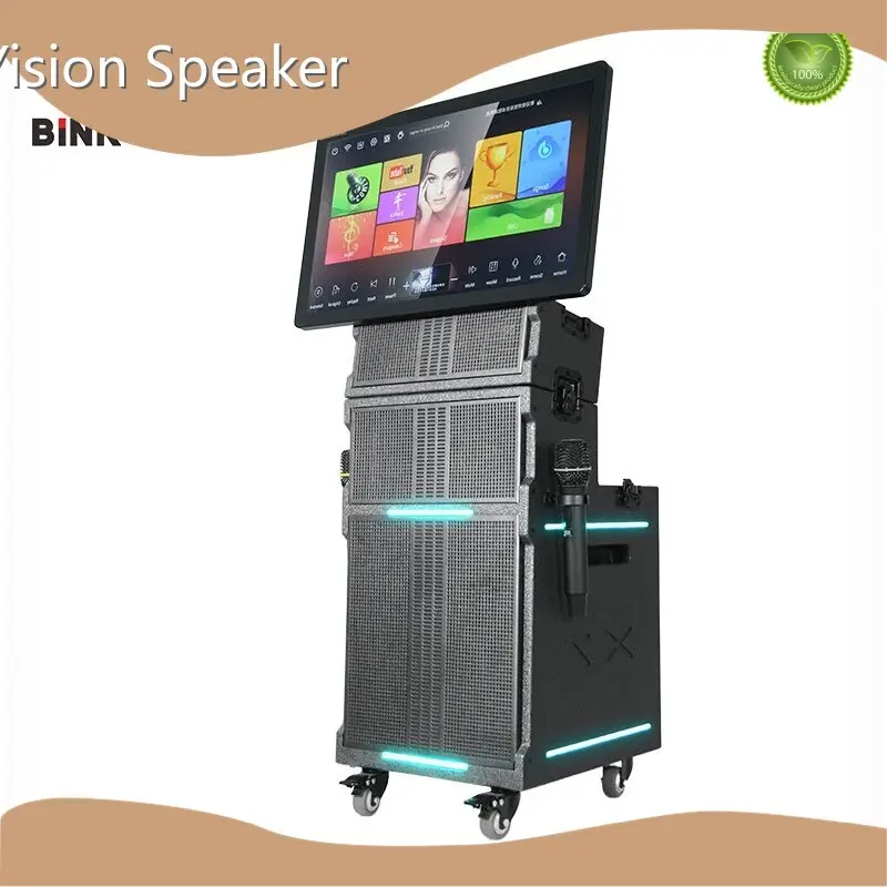 Karaoke Mic Bluetooth Speaker for Party 100factory 1