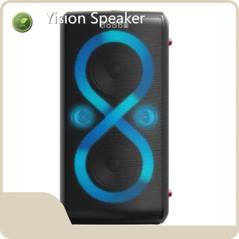 High-quality Custom Speaker Manufacturers for Ktv 1