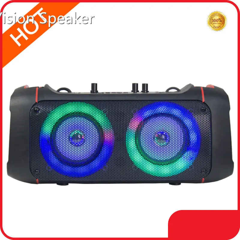 Bestmodern Speaker for Bar Black Shell with Color Light 100 1