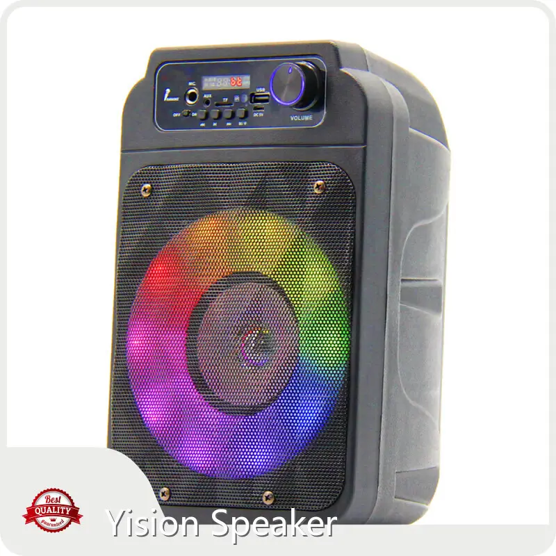 High-quality Portable Speaker Supplier Company for Ktv 1