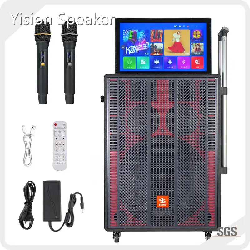 New Custom Speaker Factory for School 1