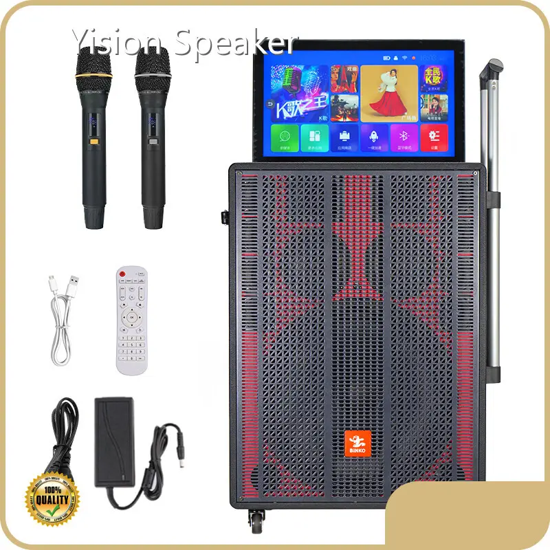 Portable Speaker with Karaoke for Indoor KT-1925company 1