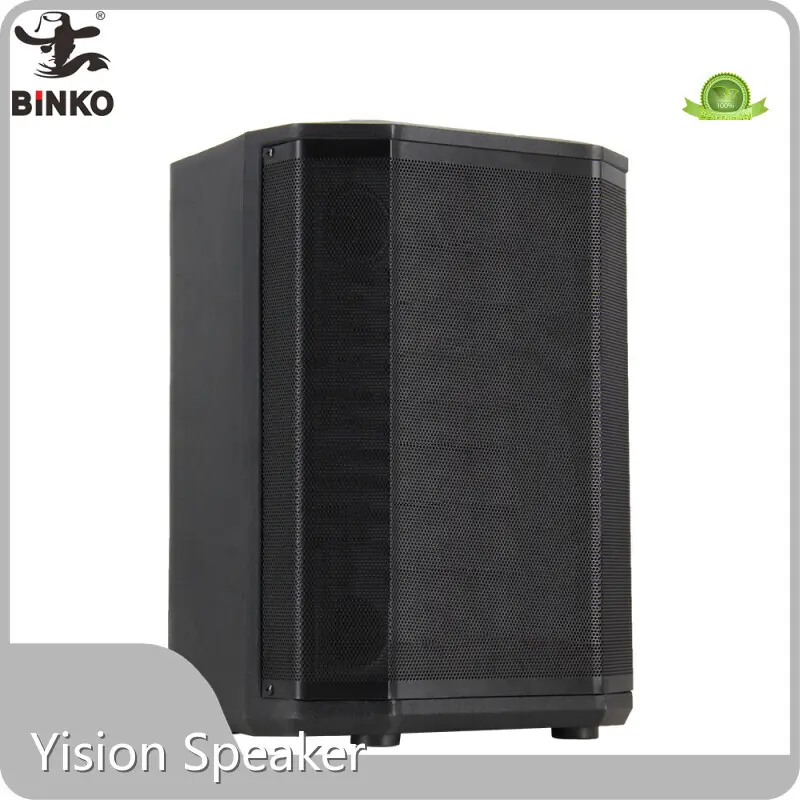 Custom Speaker for Bar Carton Boxcompany 1