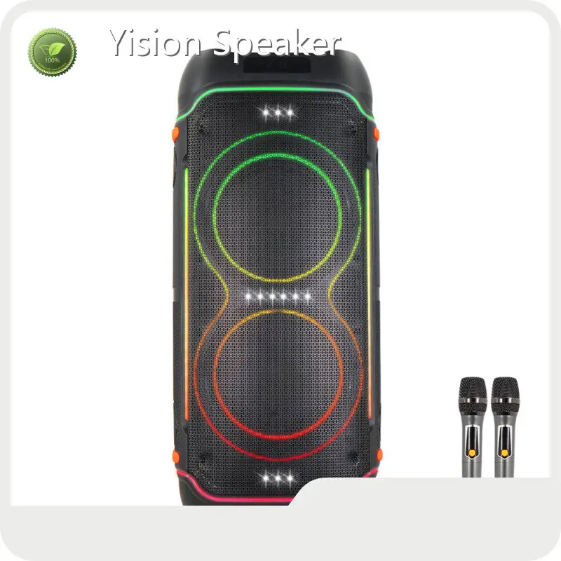 Latest Speaker Manufacturer Factory for Ktv 1