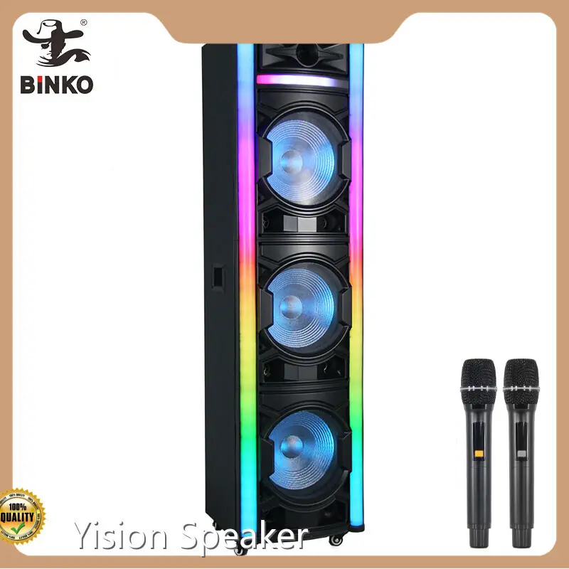 Best Party Speaker Company for Ktv 1