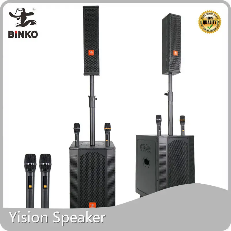 Professional Wireless Speaker Black Shell with Color Light - for Party - Binko 1