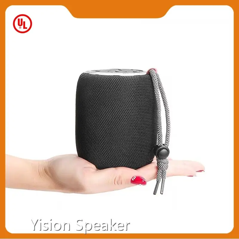 Newwaterproof Speaker Suppliers for Entertainment Carton Box BK-S110 1
