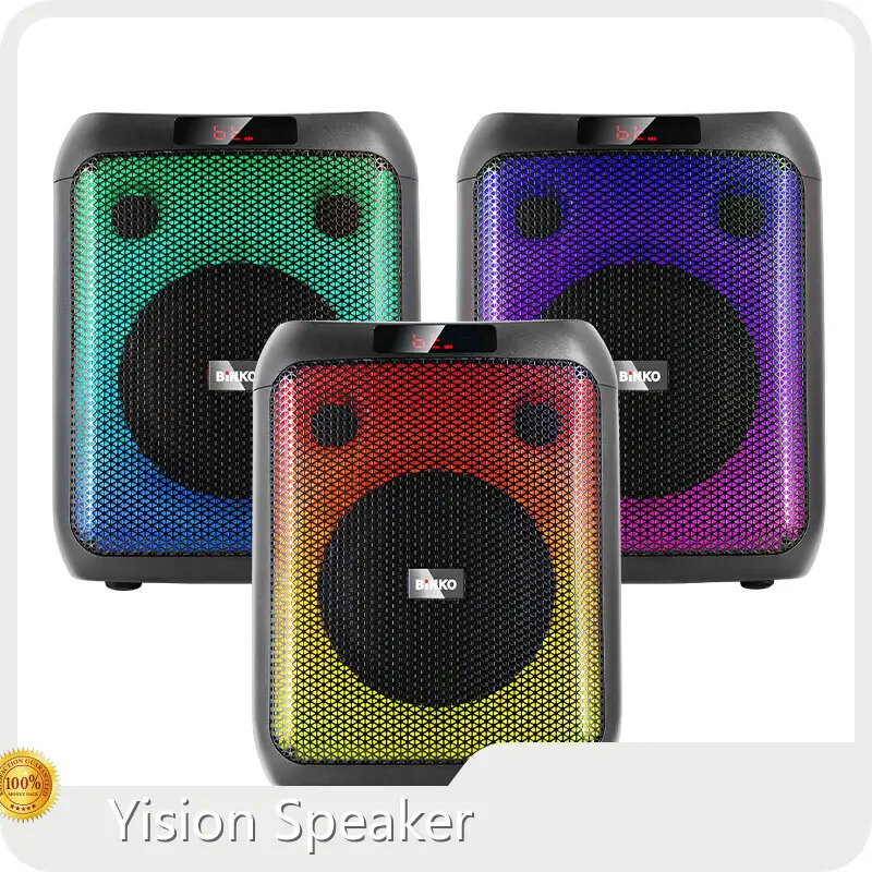 Portable Speaker Manufacturer CCC CE ROHS FCC CQC ISED - for Ktv - Binko 1