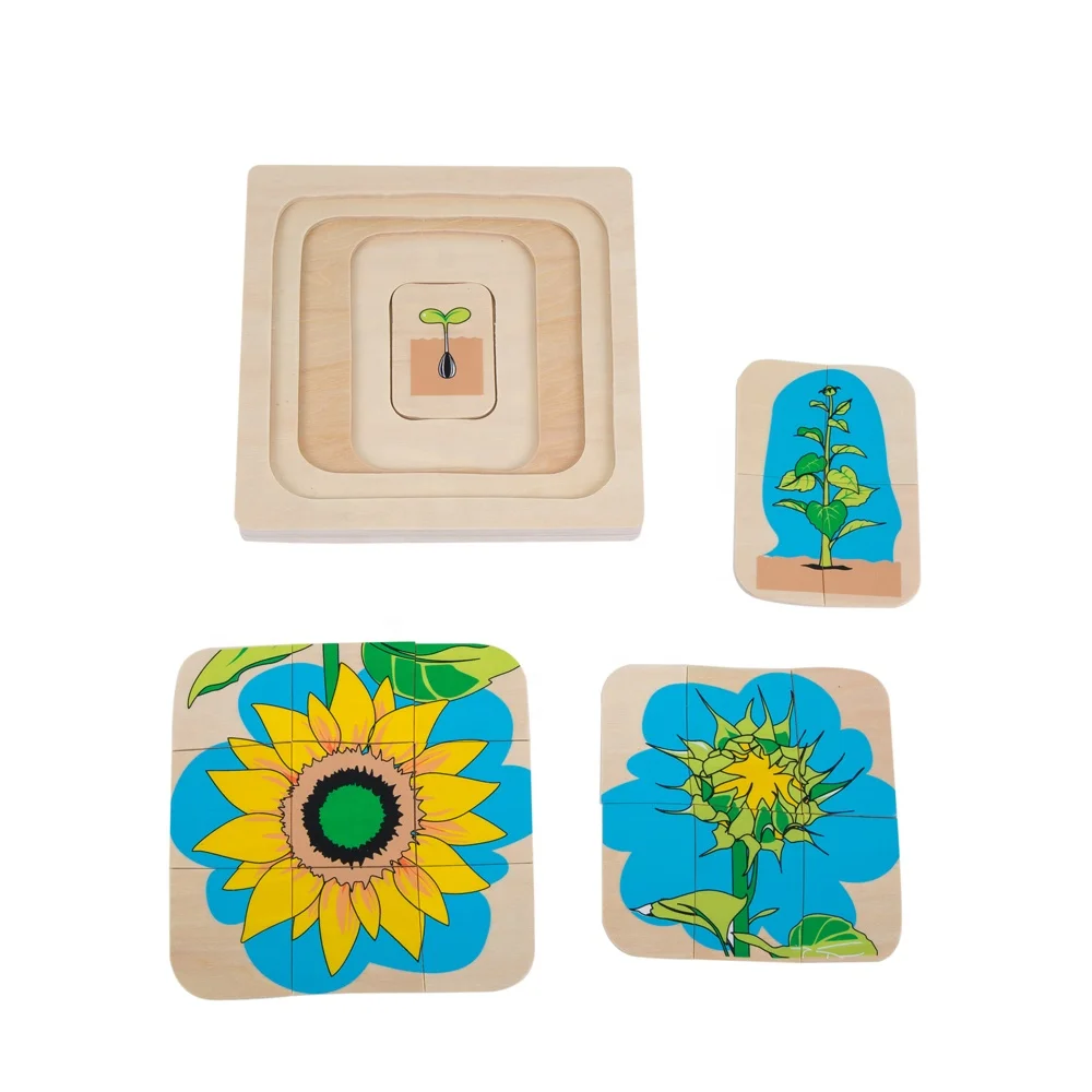 Montessori Wooden Chicken Puzzle Educational Toys Game 4