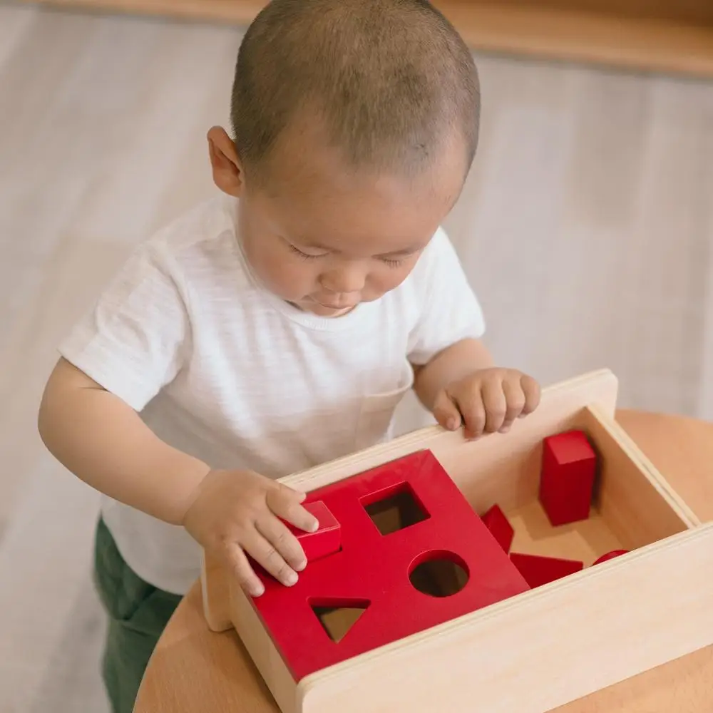 Leaderjoy 2020 Hộp Đồ Chơi Giáo Dục Montessori Bằng Gỗ Sồi Cho Trẻ Em 3