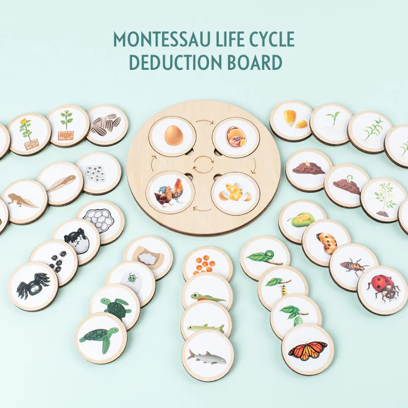 Câu đố vòng đời bằng gỗ Montessori dành cho trẻ em - Đồ chơi tiến hóa động vật và thực vật 2