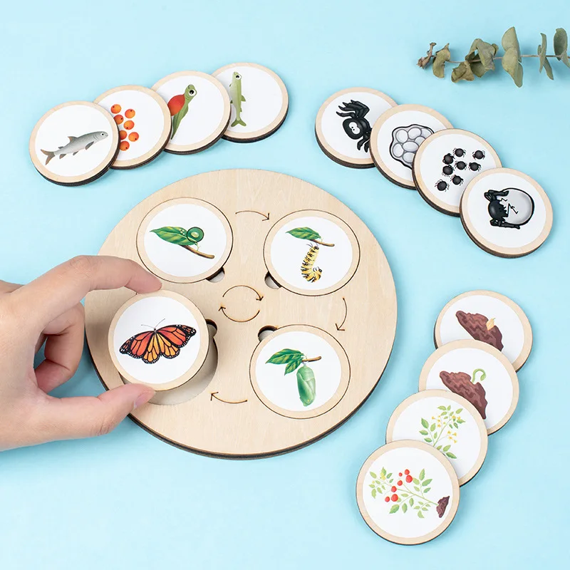 Câu đố vòng đời bằng gỗ Montessori dành cho trẻ em - Đồ chơi tiến hóa động vật và thực vật 5