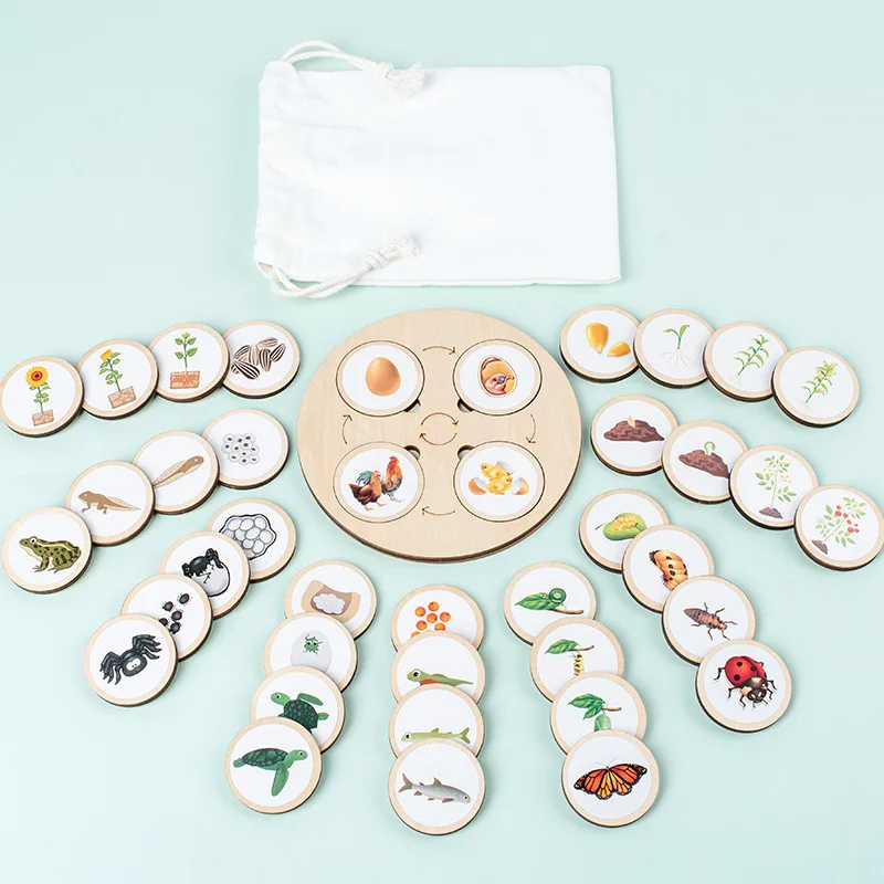 Câu đố vòng đời bằng gỗ Montessori dành cho trẻ em - Đồ chơi tiến hóa động vật và thực vật 6