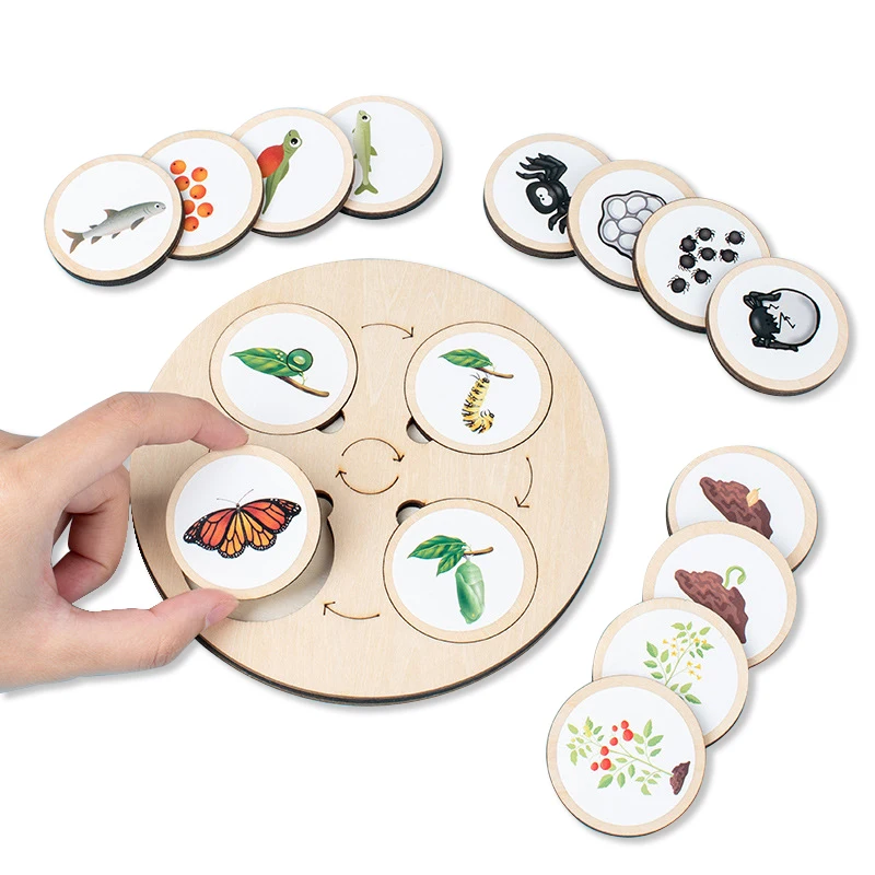 Câu đố vòng đời bằng gỗ Montessori dành cho trẻ em - Đồ chơi tiến hóa động vật và thực vật 1