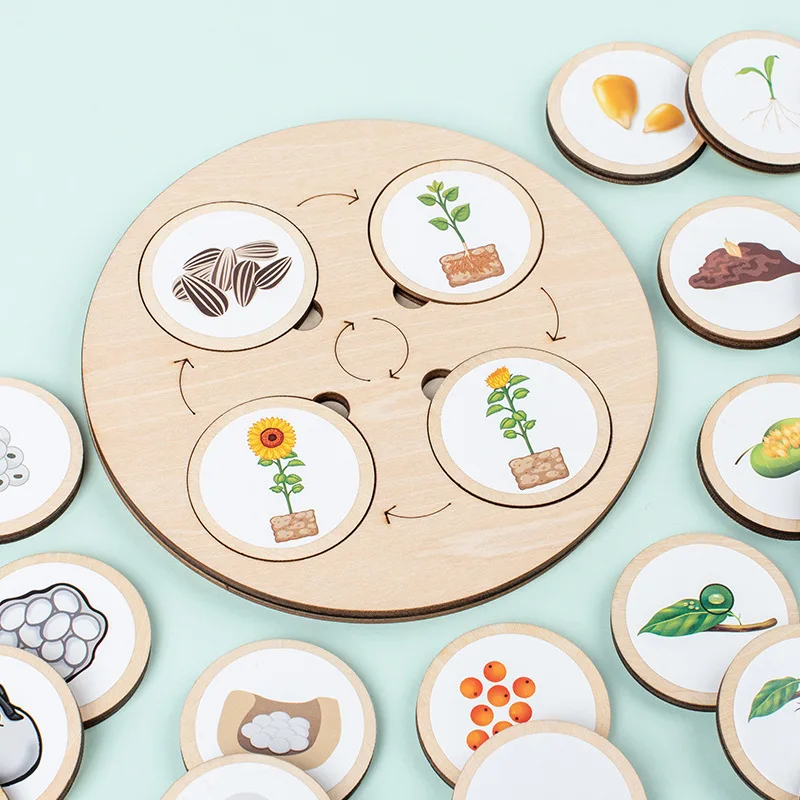 Câu đố vòng đời bằng gỗ Montessori dành cho trẻ em - Đồ chơi tiến hóa động vật và thực vật 4