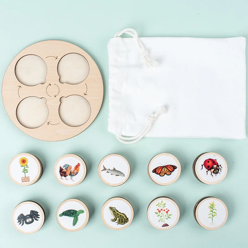 Câu đố vòng đời bằng gỗ Montessori dành cho trẻ em - Đồ chơi tiến hóa động vật và thực vật 3