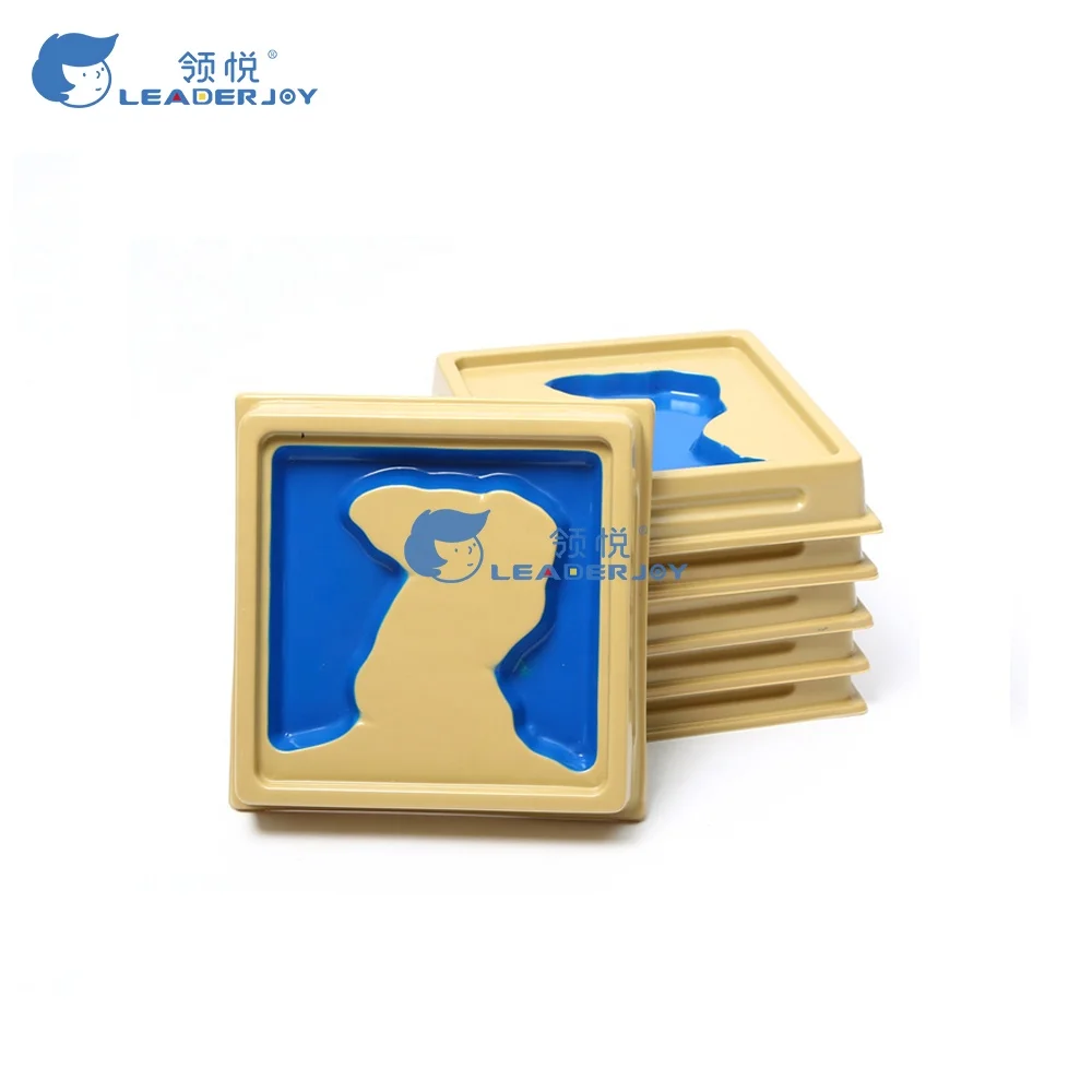 Đất gỗ & Khay đựng nước: Bộ 1 & 2 - Giáo dục 6