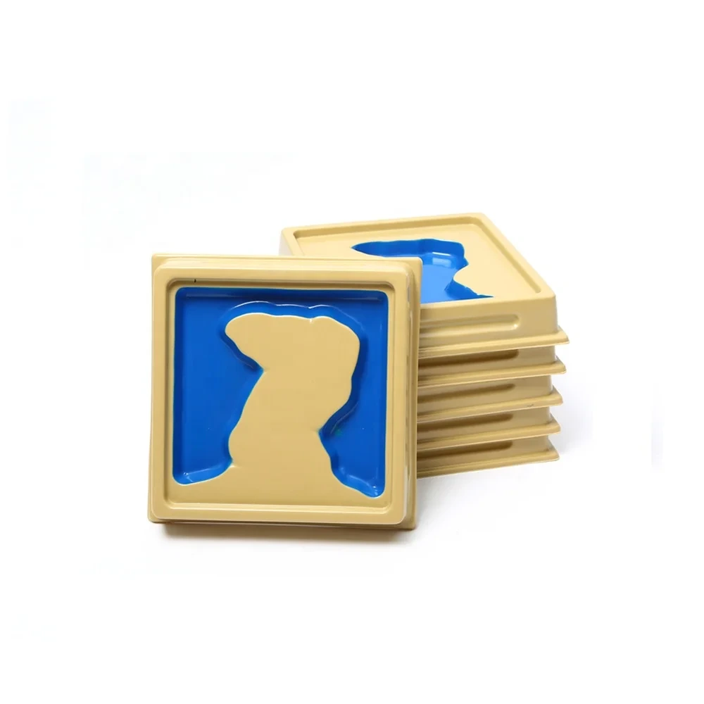 Montessori Land and Water Form Tray for Kindergarten Kids 1