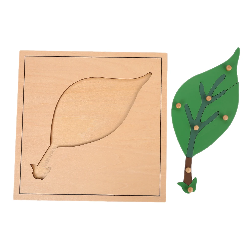 Câu đố lá gỗ Montessori dành cho giáo dục mẫu giáo 5