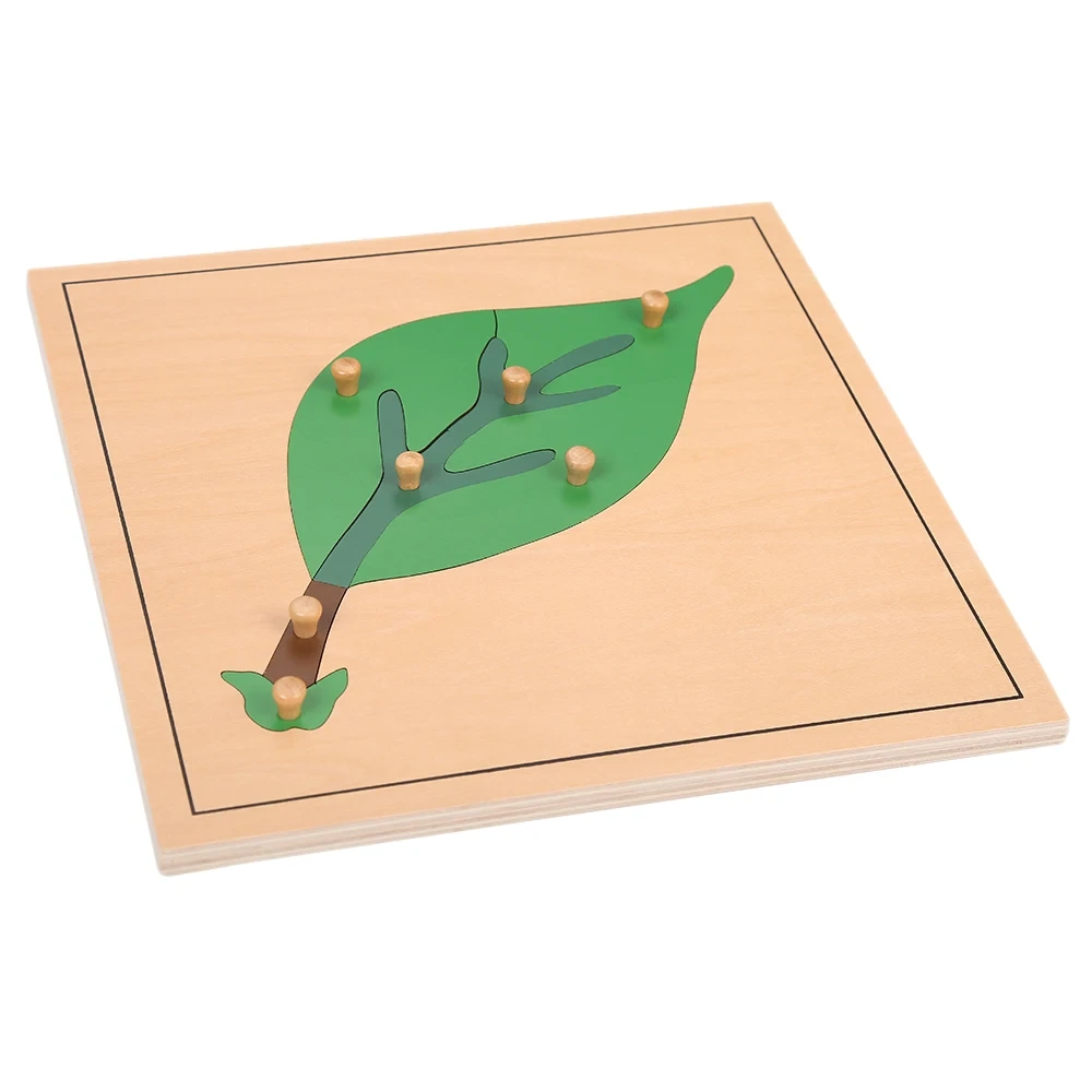 Câu đố lá gỗ Montessori dành cho giáo dục mẫu giáo 1