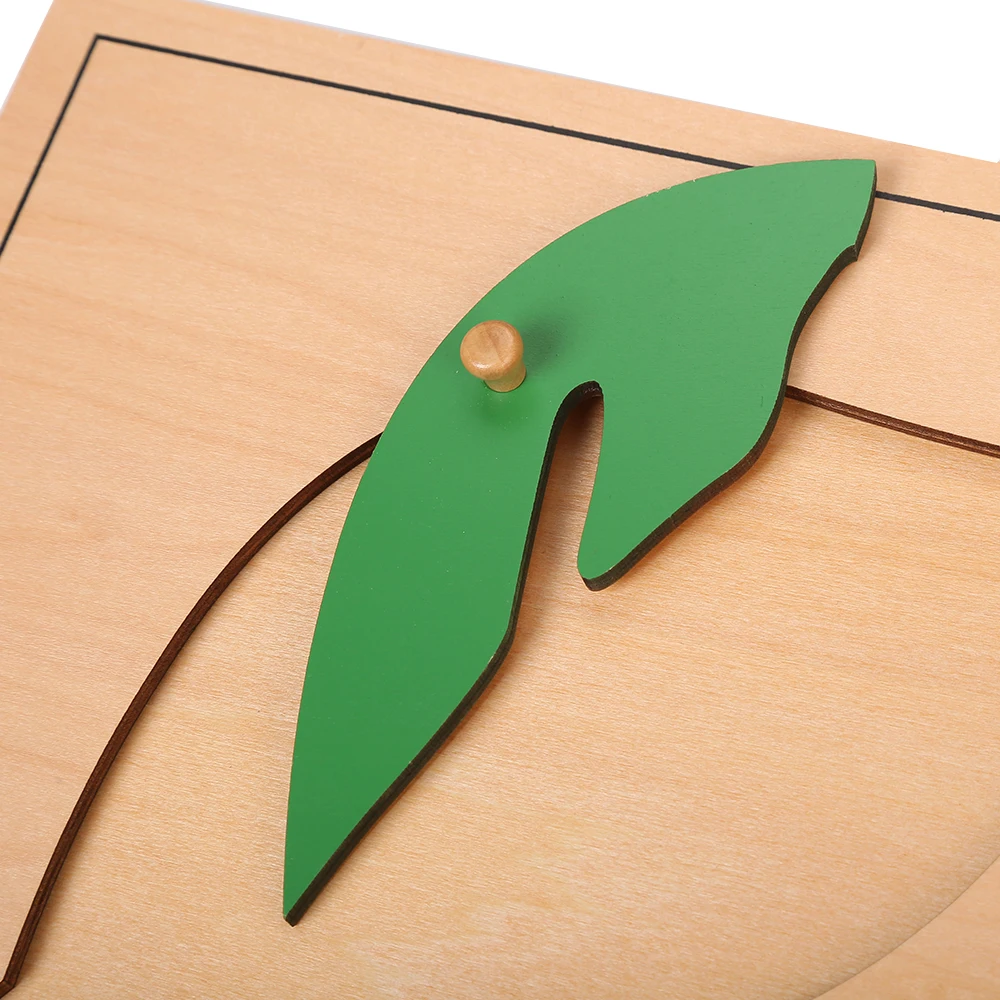 Câu đố lá gỗ Montessori dành cho giáo dục mẫu giáo 6