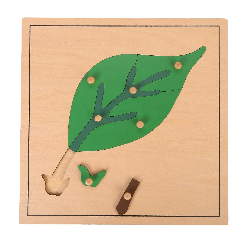 Câu đố lá gỗ Montessori dành cho giáo dục mẫu giáo 3