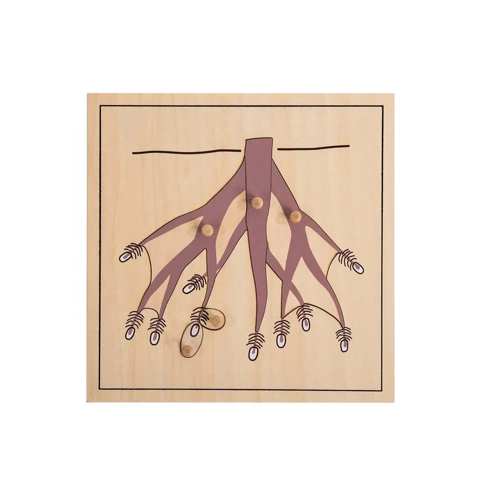 Kindergarten Wooden Montessori Educational Root Puzzles 1