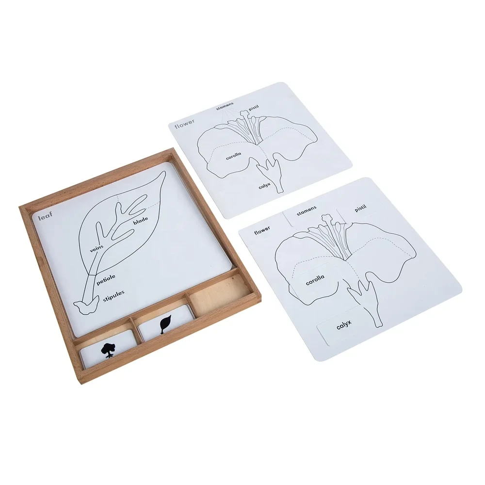 Montessori Educational Botany Puzzle Set for Children 1