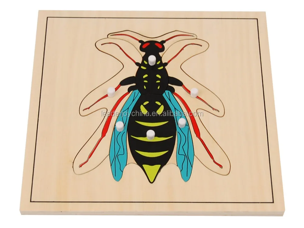 2020 Montessori Wooden Wasp Puzzle Toys - High Quality Educational Material 2