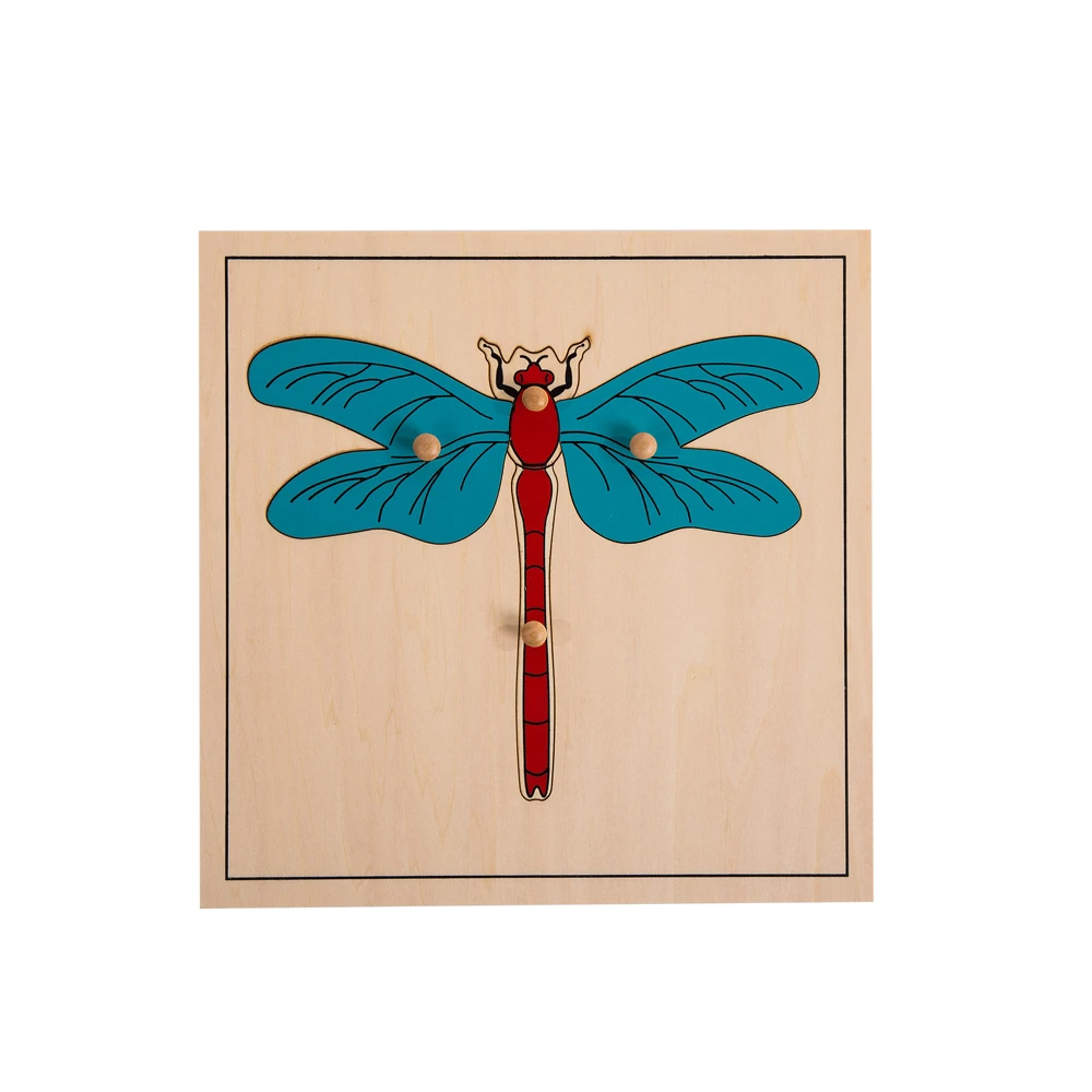 Bảng câu đố côn trùng Montessori bằng gỗ có tủ 5