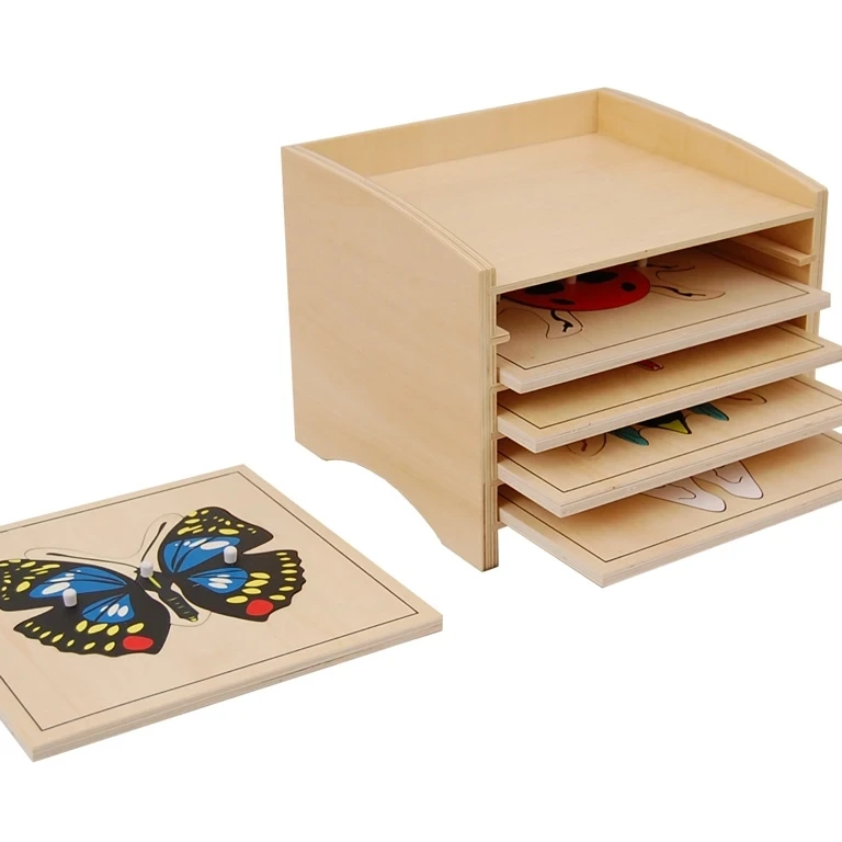 Bảng câu đố côn trùng Montessori bằng gỗ có tủ 1