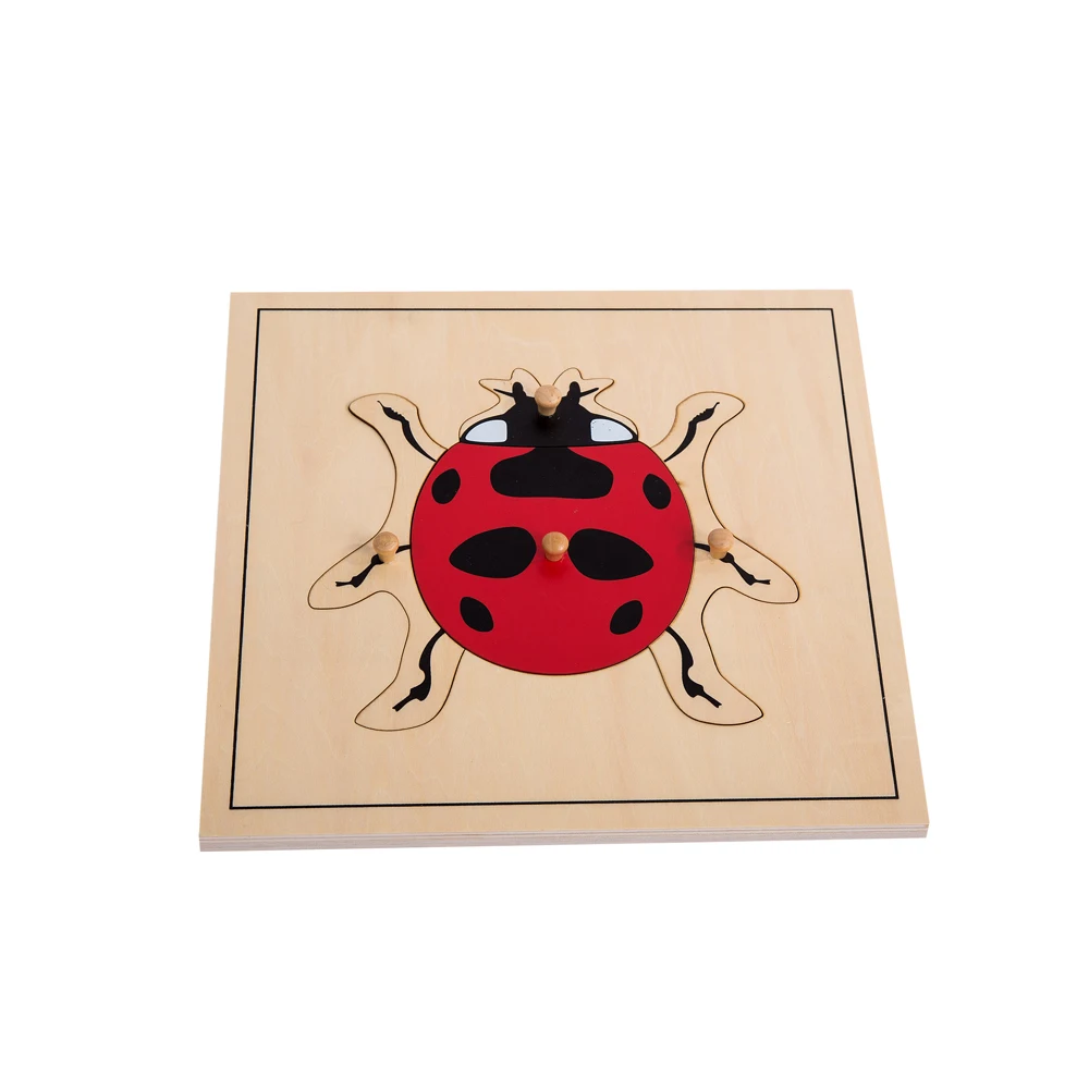 Bảng câu đố côn trùng Montessori bằng gỗ có tủ 3