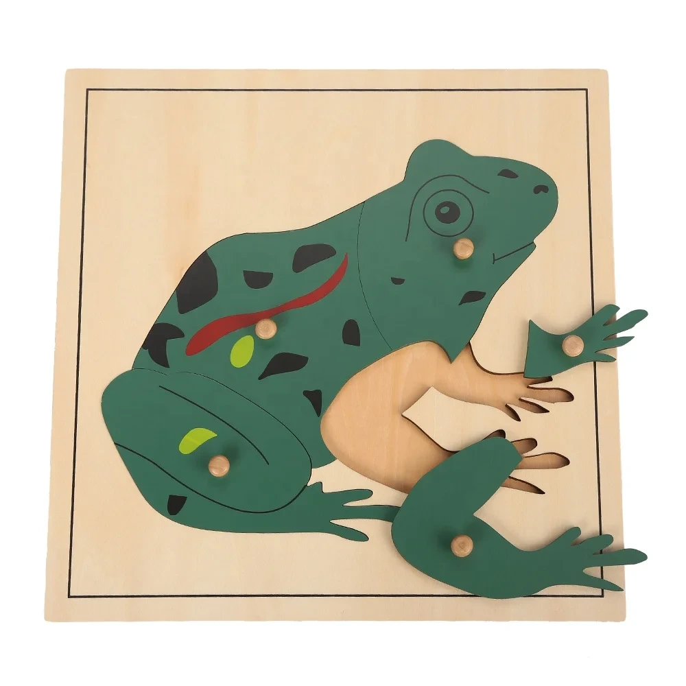 Wooden Frog Puzzle Montessori Materials for Kids School 1