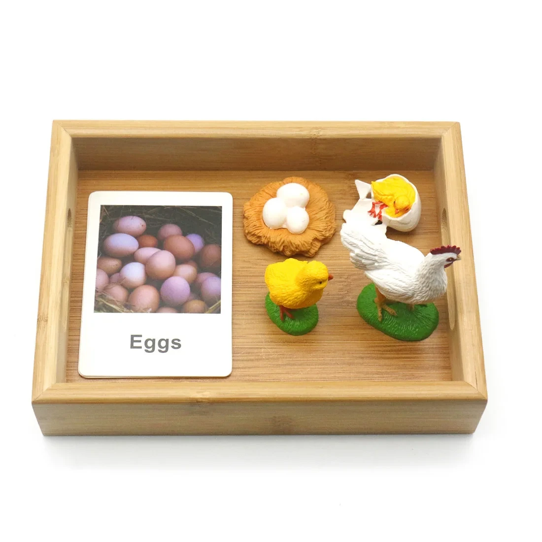 Baby Montessori Language Animals English Cards 1