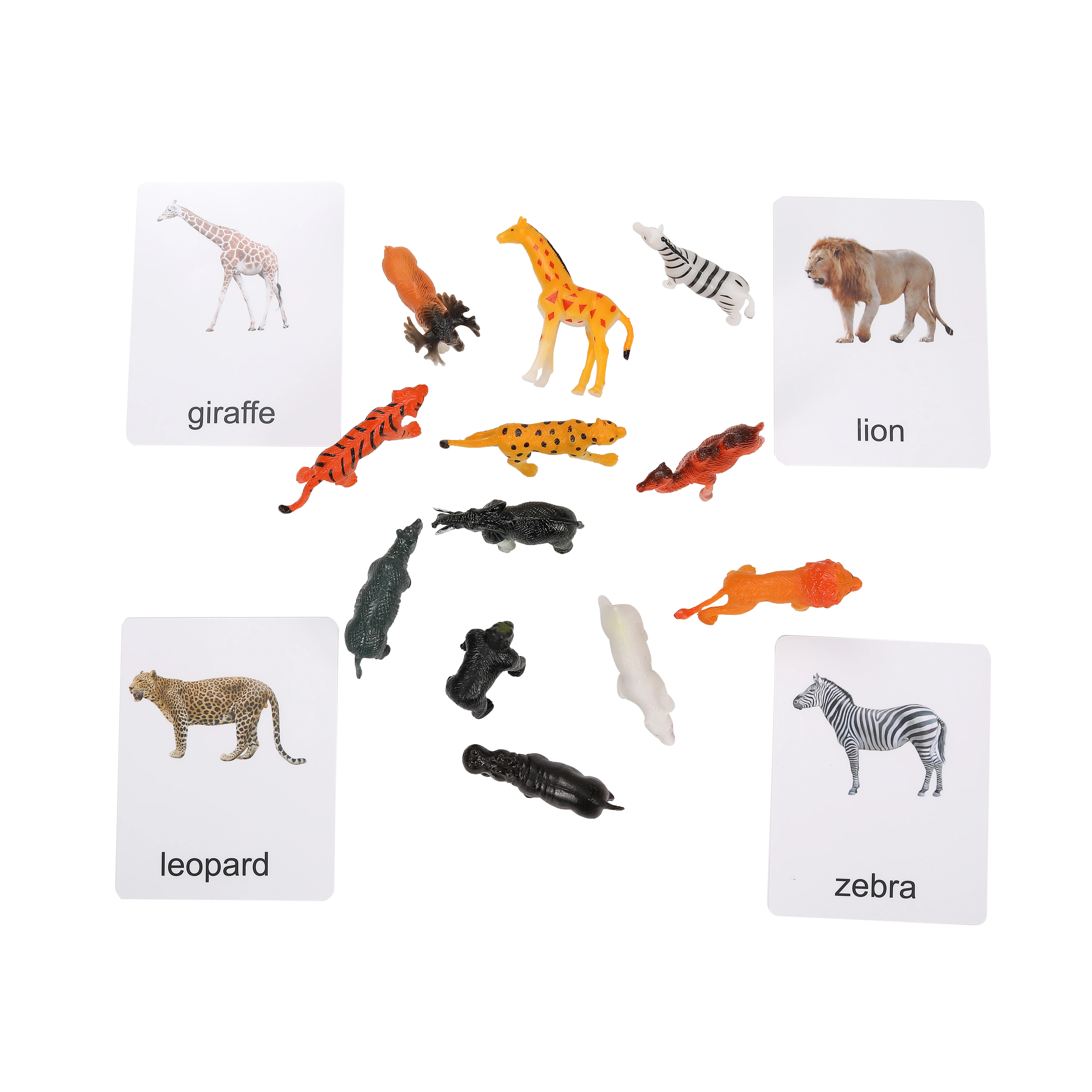 Tarjetas de objetos animales en lenguaje Montessori para juguetes educativos 3