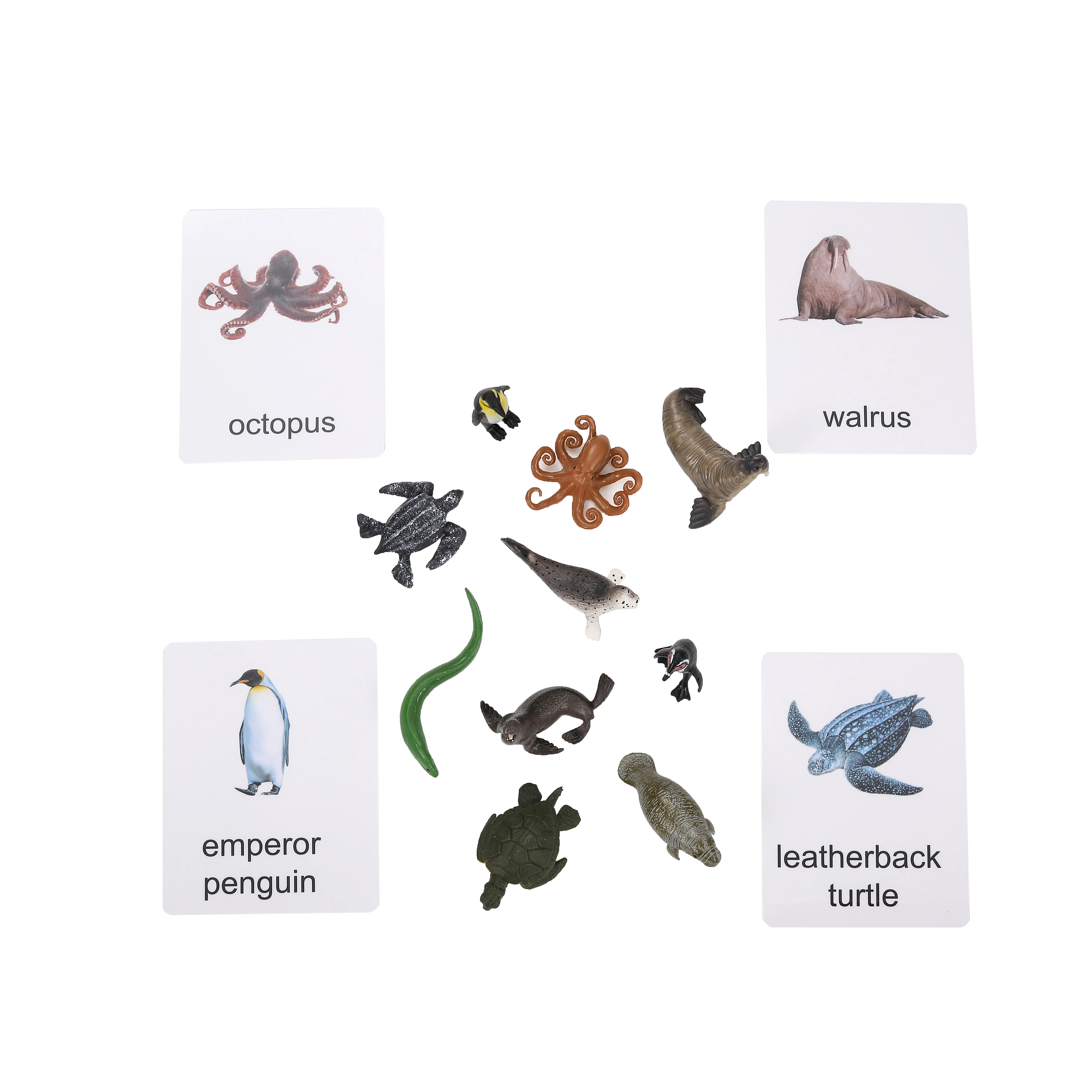 Tarjetas de objetos animales en lenguaje Montessori para juguetes educativos 4