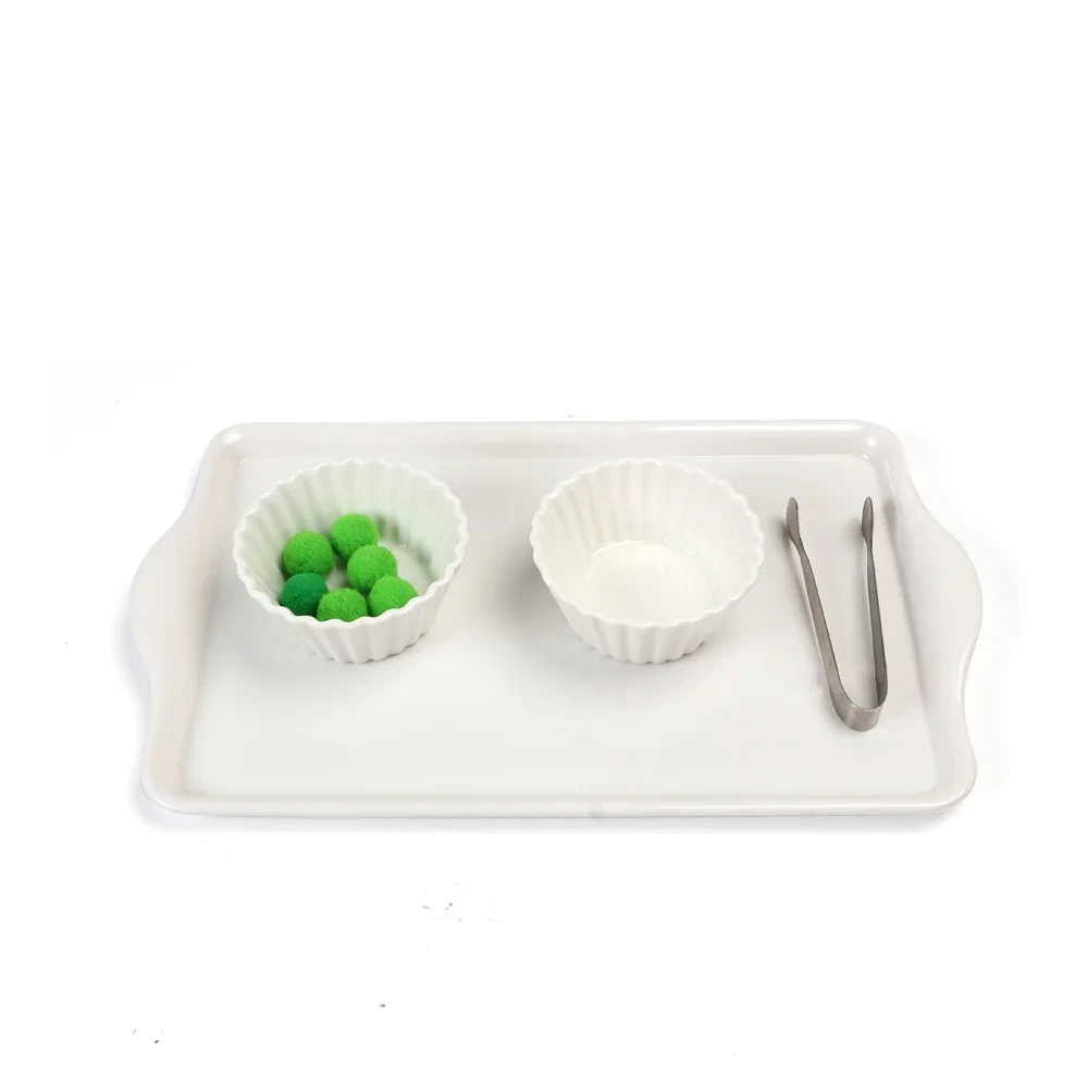 Montessori Educational Tray for Preschool - Plastic Baby Toys 1