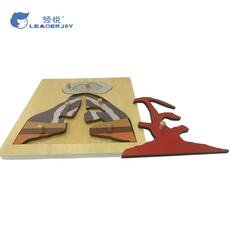 Đồ chơi giáo dục khoa học Montessori: Câu đố Colcano bằng gỗ dán 4