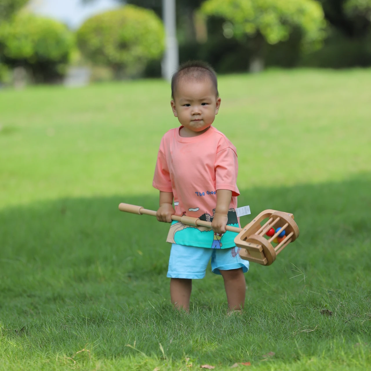Đồ chơi đẩy giáo dục Montessori bằng gỗ dành cho trẻ sơ sinh và trẻ mới biết đi 4
