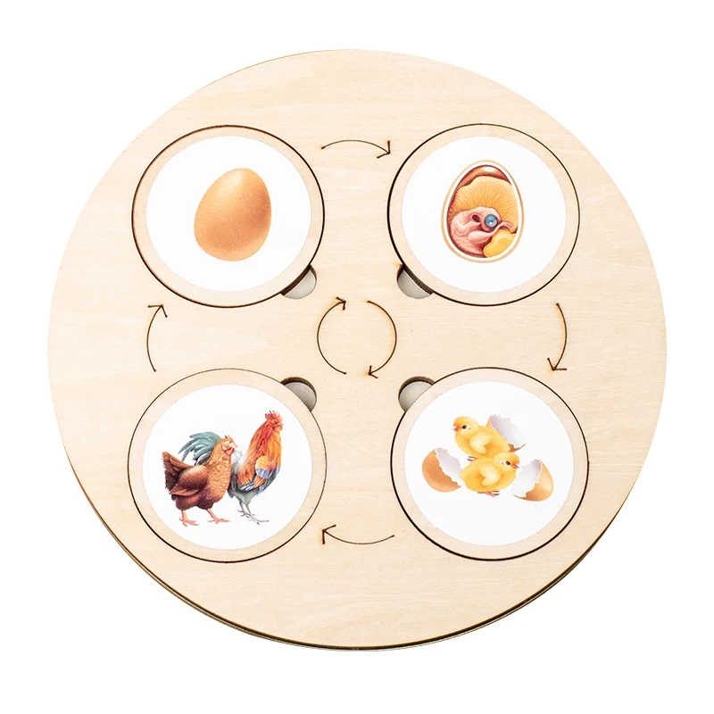 Montessori Wooden Plant and Animal Growth Cycle Puzzle for Early Education 1