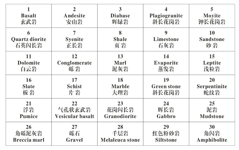 Đồ chơi giáo dục thông minh bằng gỗ để học ngôn ngữ Montessori 2