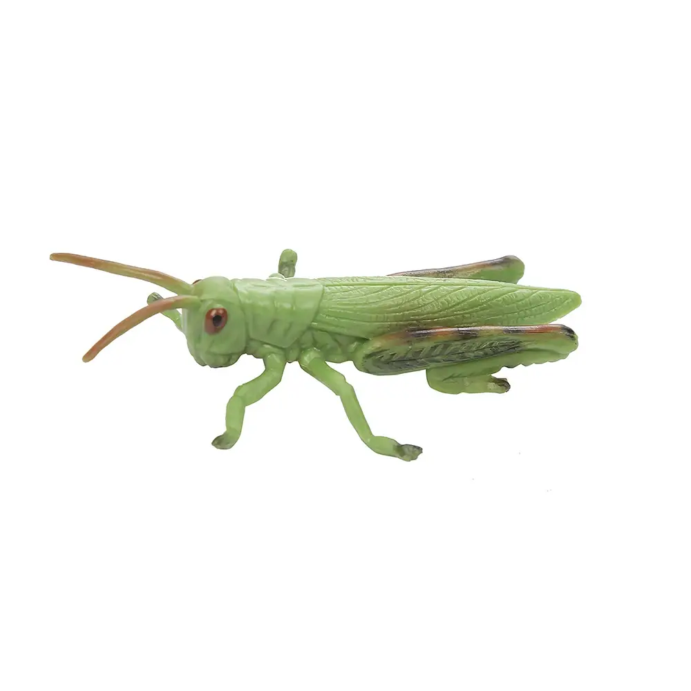 Bulk Buy Montessori Toys Wholesale Suppliers 4