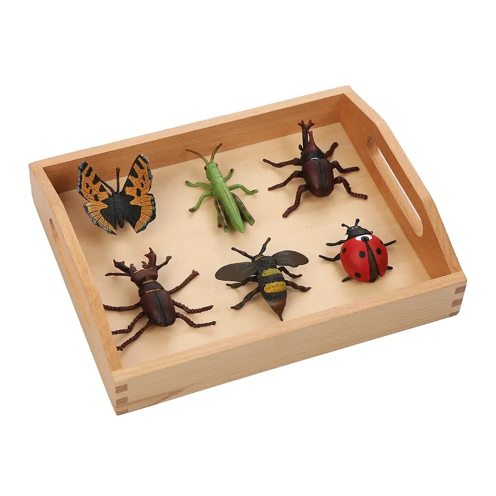Bulk Buy Montessori Toys Wholesale Suppliers 2