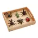 Bulk Buy Montessori Toys Wholesale Suppliers 2