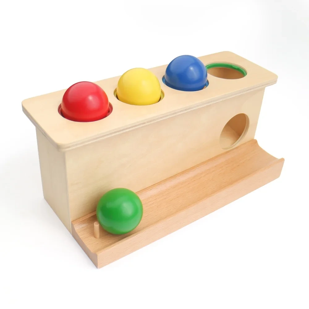 Montessori Wooden Push Balls Toy Set For Children - Leaderjoy Learning Early Education 1