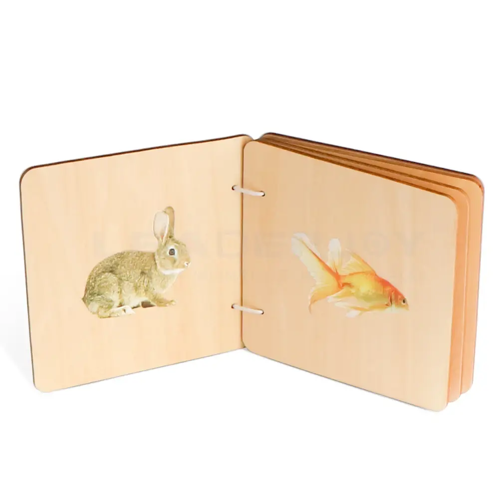 Top Montessori Type Toys 5