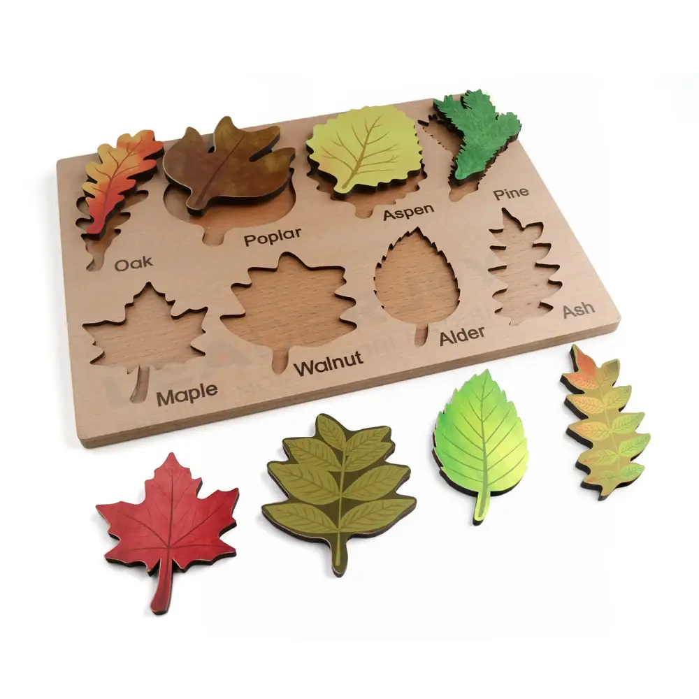 Bulk Buyeducational Toys Factory Early Education Folorful 6