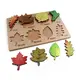 Bulk Buyeducational Toys Factory Early Education Folorful 6